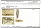 Karteikarte zum Holotyp von Frondicularia raricosta Karrer, 1877